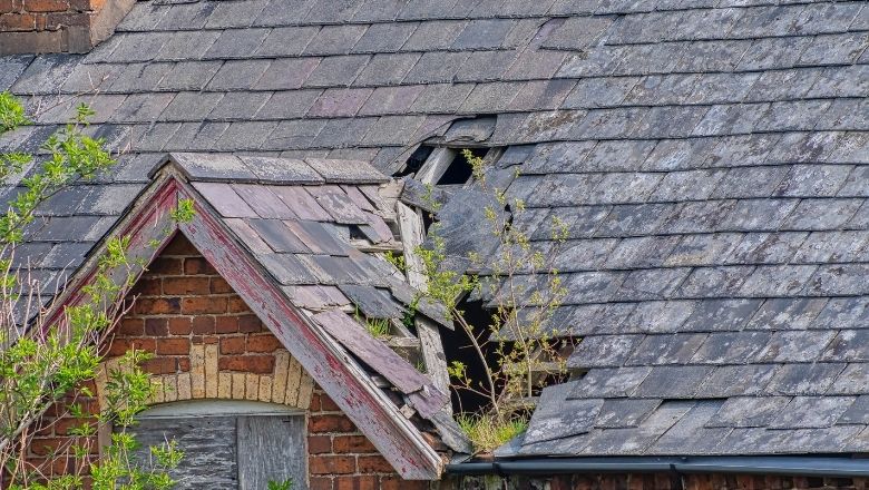 7 Best Ways to Avoid Roof Damage and Prevent Costly Repairs 